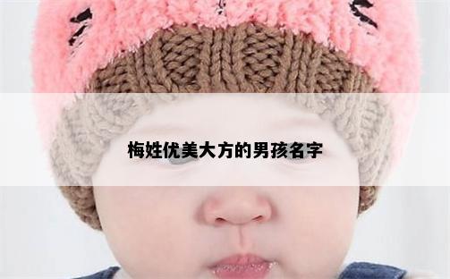 梅姓优美大方的男孩名字